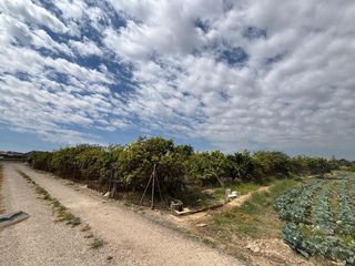 Masia a Pueblo. Parcela de 4300m2 con casa en la huerta de rojales