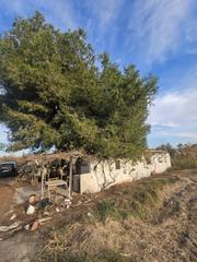 Finca rústica en Dolores. Parcela rústica de 3000m2 con casa de apero