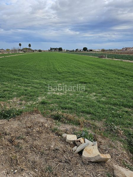 Foto 86bceefd-42b8-4995-8525-75a03c76899b. Finca rústica a Dolores