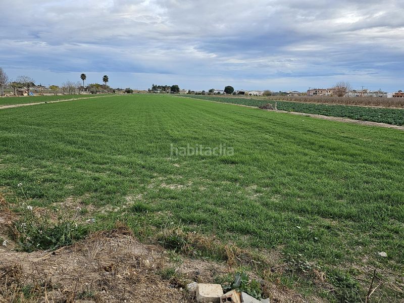 Foto c01da900-480a-47e9-8318-618abcd7d47e. Finca rústica a Dolores