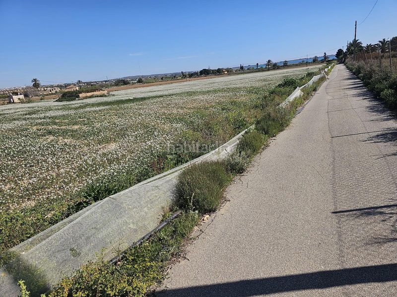 Foto 22bdfcf9-8b74-4db3-a03d-a349d2a9dd6d. Finca rústica a Montesinos (Los)