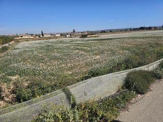 Finca rústica en Montesinos (Los)