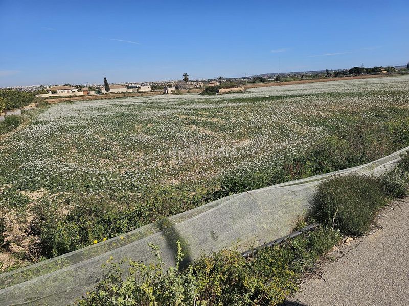 Foto eff86387-97ea-4151-8c53-f24efafdf27d. Finca rústica a Montesinos (Los)