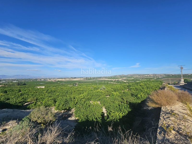 Foto 97756bd0-c883-4e3f-91b3-06483e1e10ff. Terreny residencial a Bigastro