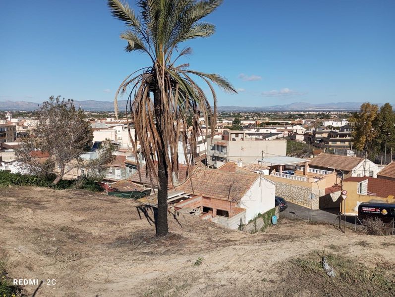 Foto 5cdd9f2a-fbef-4020-8006-bea24ab84abd. Terreny residencial a Rojales