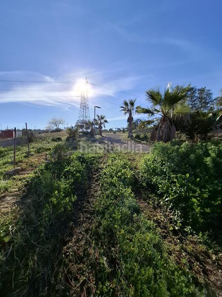 Foto f2cc1be8-e57c-4dee-803f-cb334c4a0c4b. Terreny residencial a Rojales