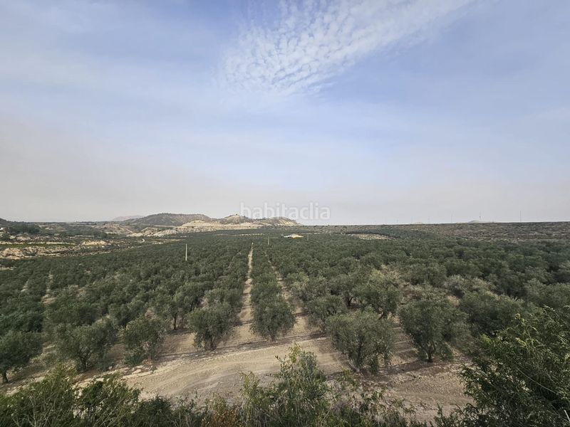 Foto 02a05540-b043-42cf-ba11-94839468f936. Finca rústica a Desamparados - Hurchillo - Torremendo Orihuela