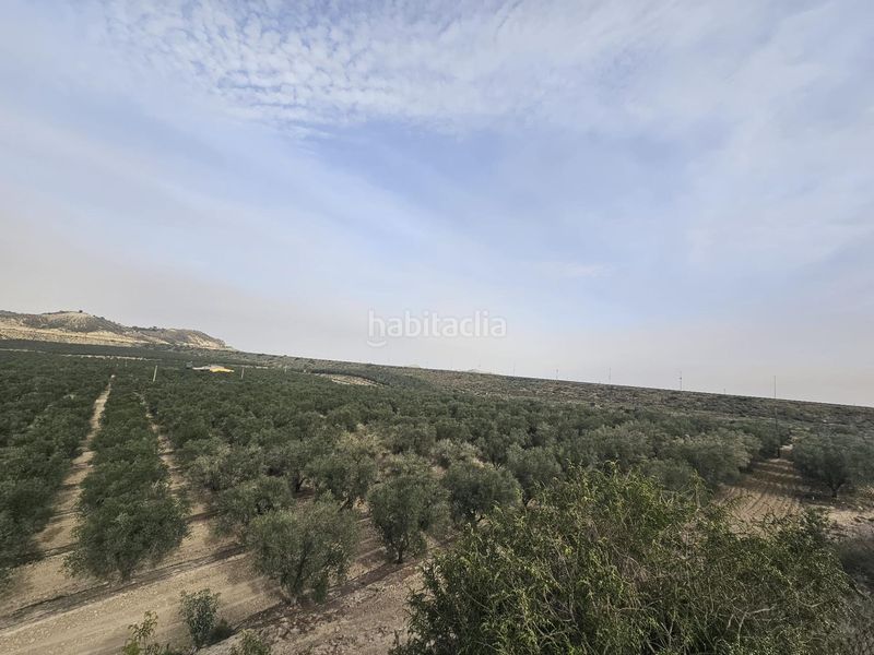 Foto 67f7230c-1bdd-43b0-b136-49cd744a93e9. Finca rústica a Desamparados - Hurchillo - Torremendo Orihuela