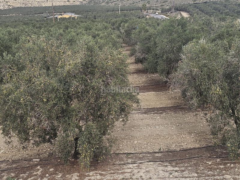 Foto 712a55fb-fd43-4402-9d8b-f73ee5deaae3. Finca rústica a Desamparados - Hurchillo - Torremendo Orihuela