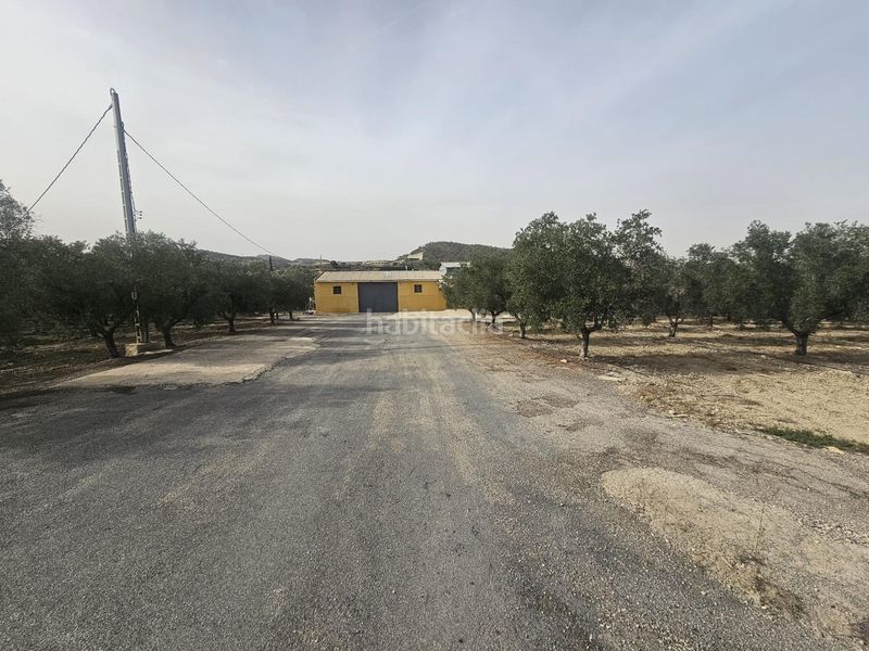 Foto a804cd68-caca-4b30-9ca6-695fc8a91d44. Finca rústica a Desamparados - Hurchillo - Torremendo Orihuela
