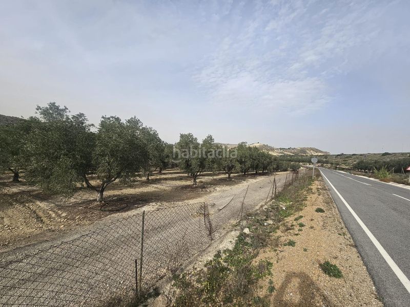 Foto c09f33e3-59db-46f4-b525-3b7c77838d71. Finca rústica a Desamparados - Hurchillo - Torremendo Orihuela