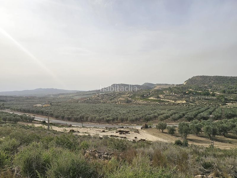 Foto de0736a3-82bb-4691-9a1d-31f479f720c7. Finca rústica a Desamparados - Hurchillo - Torremendo Orihuela