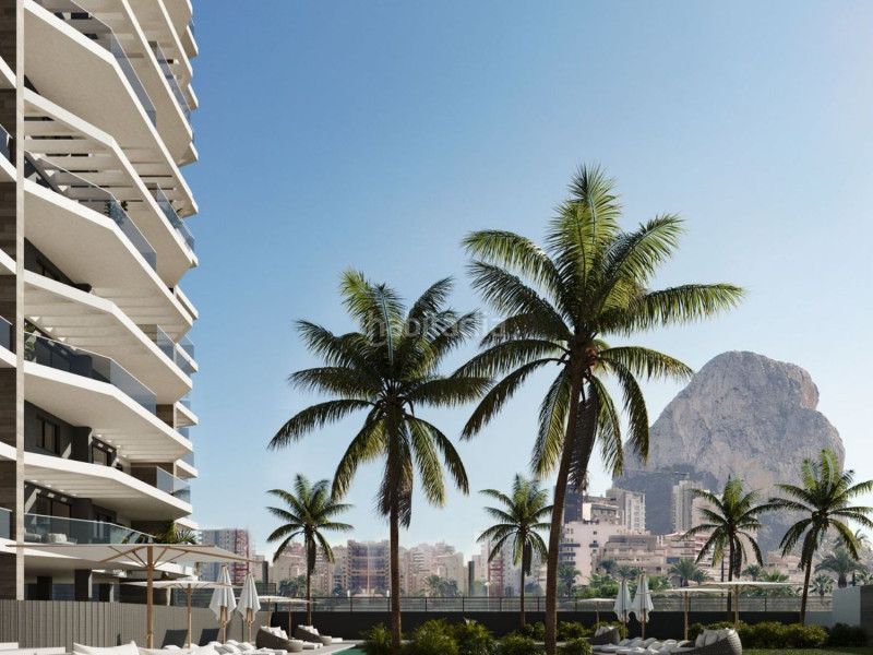 Foto 75e0f93b-aaef-45bd-9ab3-1a579a6394bd. Apartamento en Playa Arenal - Bol Calp