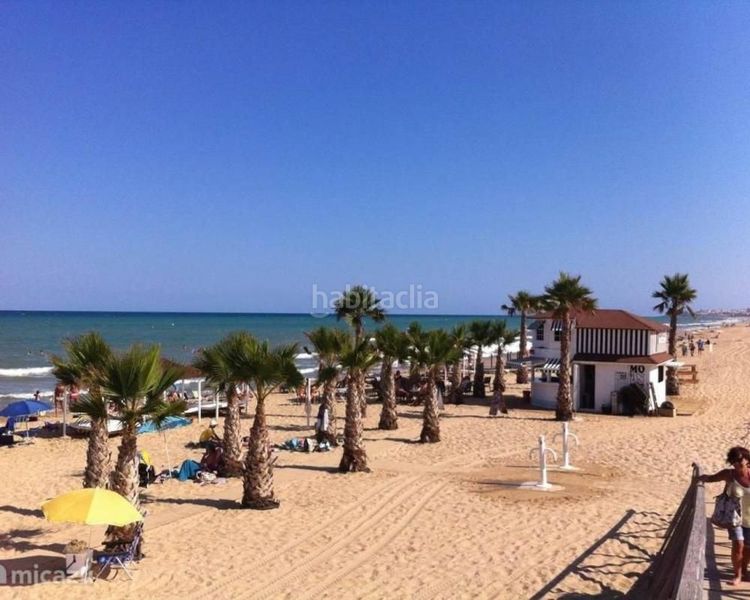 Foto b2904e1f-4d5a-4c0a-b0d5-9bb428e0ba9a. Apartamento en Dolores