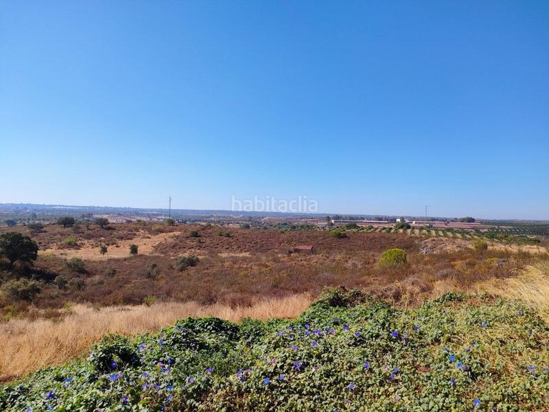 Foto a3160149-7eff-4e52-b38a-352972e3dc72. Casa in Villablanca