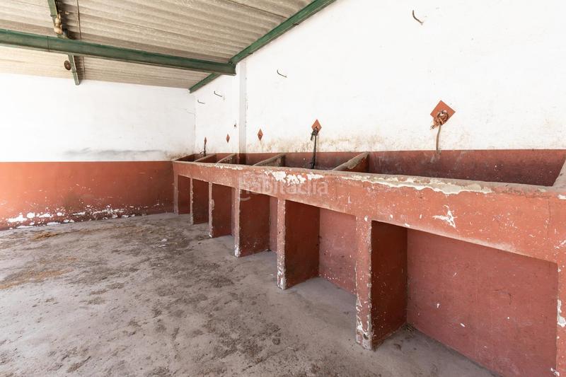 Foto e73edcd9-8e8c-451f-b5aa-862883451713. Casa amb calefacció aparcament a El Rocío Almonte