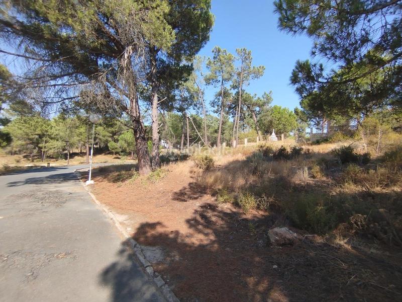 Foto 0895b212-0f1f-43a3-83a0-6930b3575e74. Terrain résidentiel dans Isla Cristina