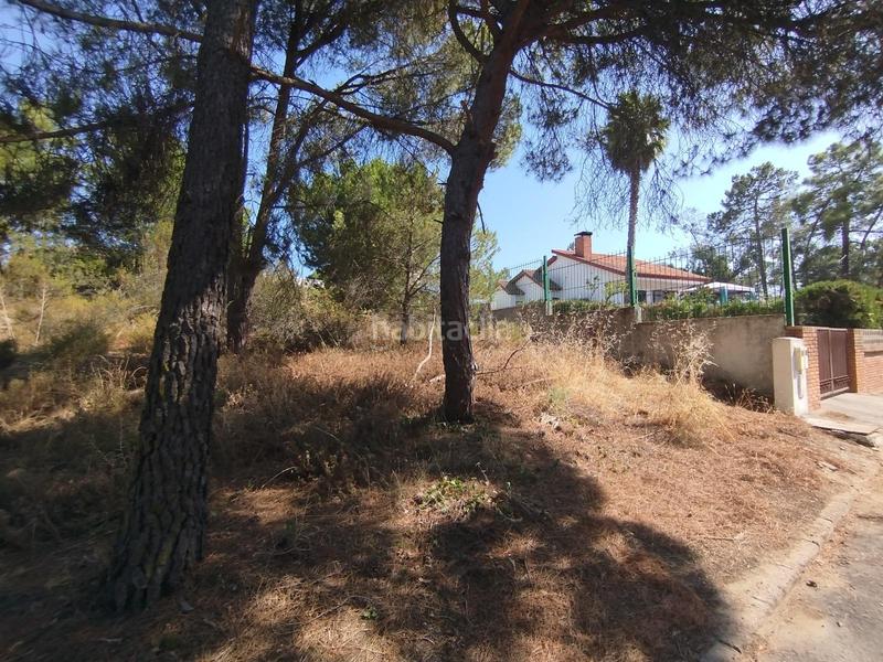 Foto 0c7b68e2-dfbf-46dd-89fe-094d85378c41. Terrain résidentiel dans Isla Cristina