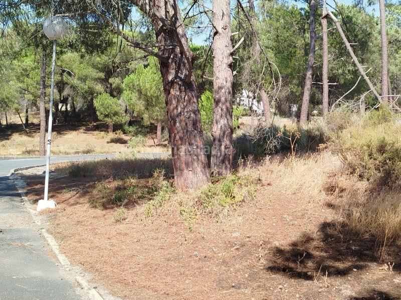 Foto 6d55cccf-e8e2-4fb2-82f7-a8c738427451. Terrain résidentiel dans Isla Cristina