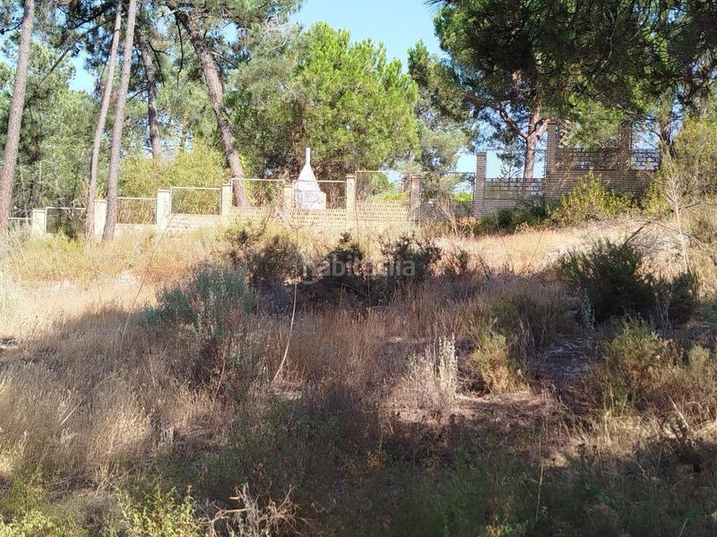 Foto f09be472-576d-4645-970e-f62e9f821cad. Terrain résidentiel dans Isla Cristina