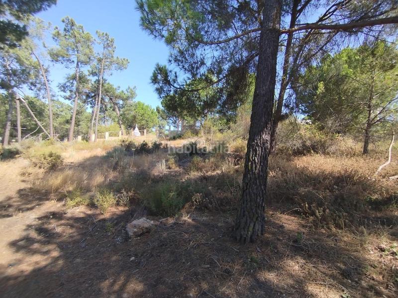 Foto fbc17744-b602-4d54-a9bf-4e3865a143ac. Terrain résidentiel dans Isla Cristina