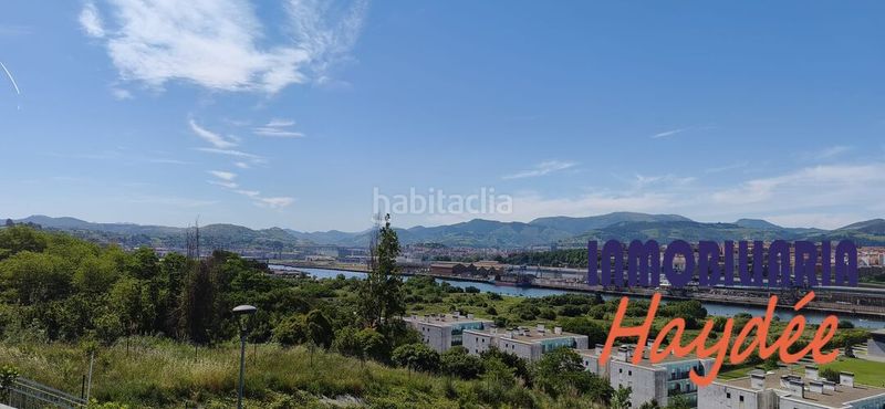 Foto e3aceb5a-d7a0-4417-b2ed-f6374fc88aff. Pis amb calefacció a Txoierri-Ondiz-Udondo Leioa