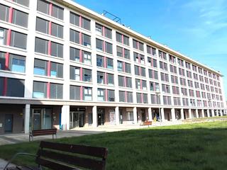 Pis  Paseo de buztintxuri
