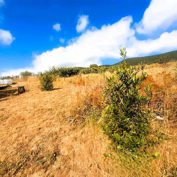 Foto b89d3865-f728-48e2-a243-826e11bf923b. Finca rústica a calle san isidro 9 a Echarri / Etxarri