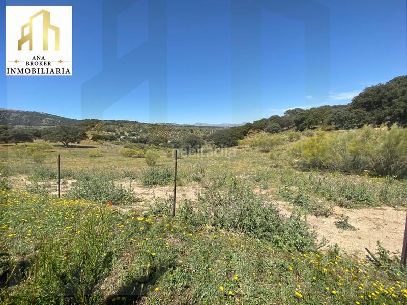 Foto 03618c4a-28e9-4734-be8a-1de7f57be974. Maison avec cheminée chauffage parking piscine dans Marbella