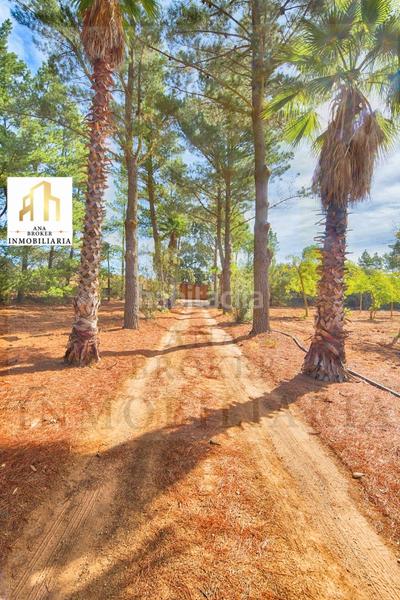 Foto fc2d7c9d-ad7e-4fbf-aff1-925a65e97821. Chalet in Arriate