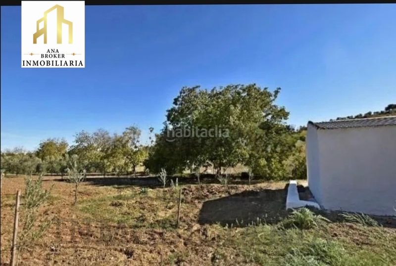 Foto b1a14d8e-bce6-4cf8-8760-9d1ef1639596. Finca rústica a San Francisco Ronda
