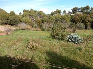 Terreno residencial en Castellnou-Can Mir-Can Solà. 3 bancales