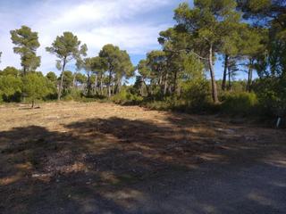 Terreny residencial a Cabra del Camp. Llano, en mas de plata