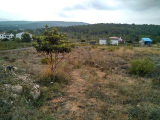 Terreny residencial a Querol. 2 terrenos