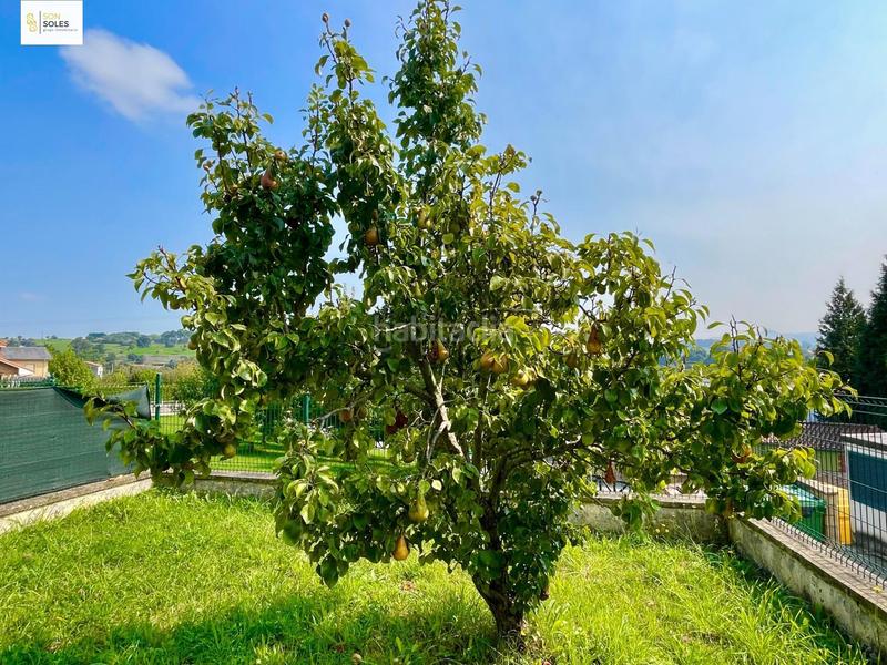 Foto c91bfc34-e3bc-4b40-98a2-938a48f92bd8. Planta baja descubre tu refugio en villapresente en Reocín