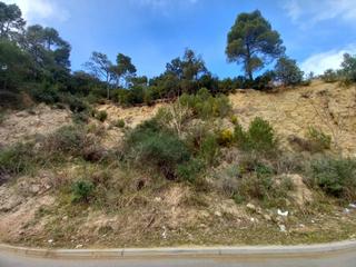 Terreny residencial  Dels arbres. Solar edificablede 848 m2 en palafolls