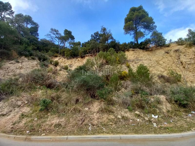 Foto c8bced2e-fdf6-43d3-8ddc-2b18af3e7fb0. Terreno residenziale in Palafolls