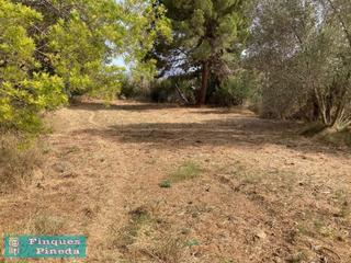 Rural plot in Can Moré - Santa Anna - Can Feliu de Merola. Finca rustica en pineda de mar