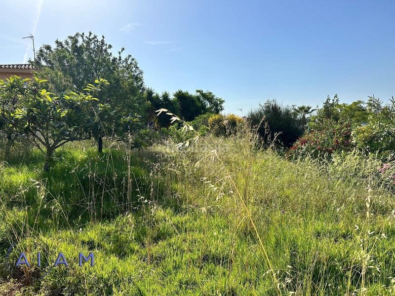 Foto c832b7ca-dd5d-496e-843f-62a9010920f3. Wohngrundstück in Urbanitzacions Sant Pol de Mar