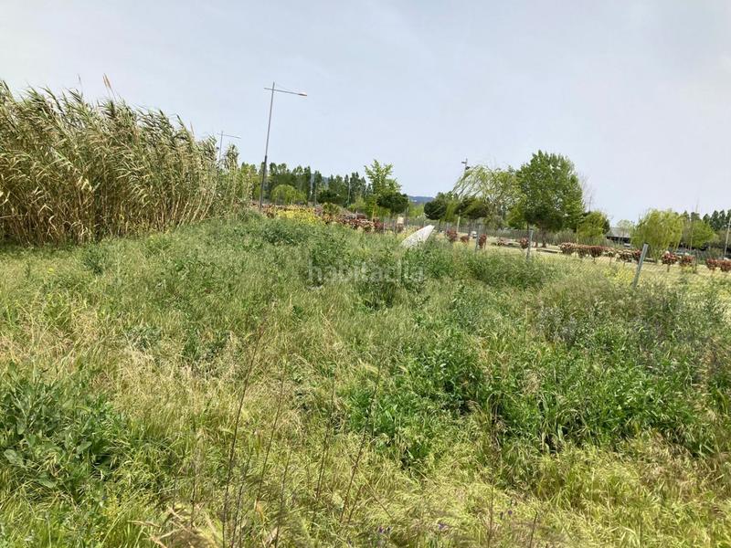 Foto 3a04852b-5924-4fc5-92cd-4f575bd7a6d3. Terreno residenziale in Tordera Tordera