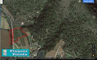 Finca rústica a Can Moré - Santa Anna - Can Feliu de Merola. Finca rústica en pineda de mar cerca del pueblo