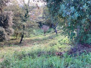 Residential Plot  Calle badalona (agora park). Solar edificable de 836 m2 en tordera