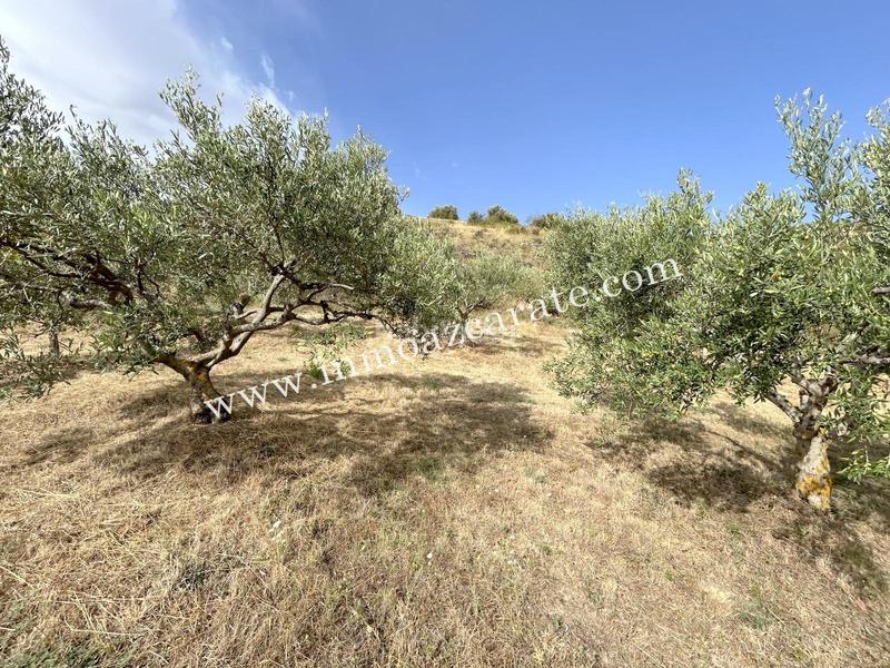 Foto 8ac67d46-aa49-48af-816d-159b8ffda352. Finca rústica finca rustica en Morentin