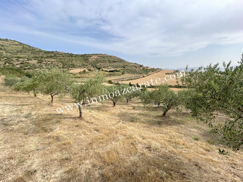 Foto e12f69e1-b433-4ce7-bf8f-8e3174d186cd. Finca rústica finca rustica en Morentin