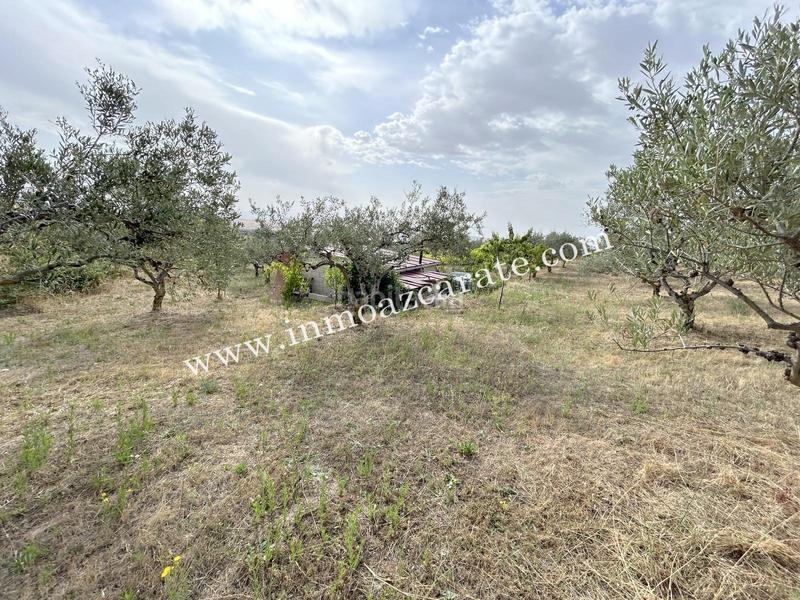 Foto fccd81c8-f4e0-4261-9a13-bb96329bbcfd. Finca rústica finca rustica en Morentin