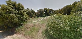 Terreny residencial a Murieta. Parcela rustica en murieta