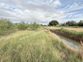 Finca rústica en Lerín. Parcela de regadío en lerin