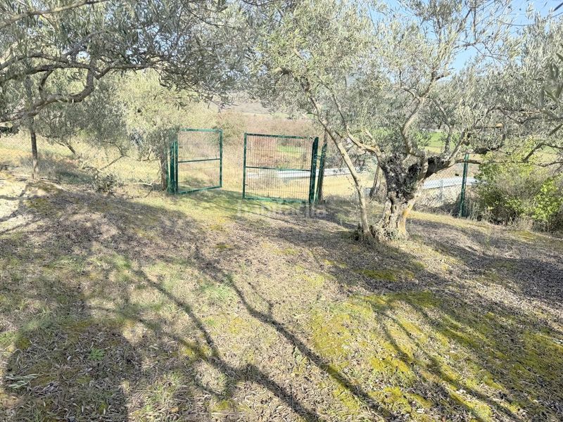 Foto 02dc9aa7-11b0-42c7-a087-c166d1c59860. Finca rústica a Cirauqui