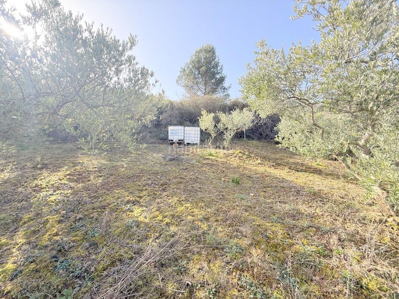 Foto 0311c037-1f2a-4ffd-9e35-a8dcc3e3ec1e. Finca rústica a Cirauqui