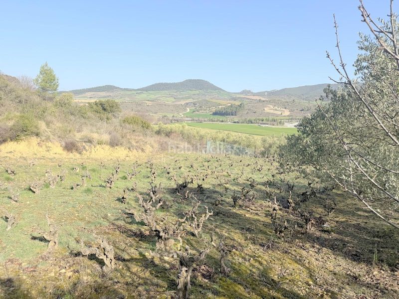 Foto 6817d7d9-c531-4684-9632-21ab3352d1dc. Finca rústica a Cirauqui